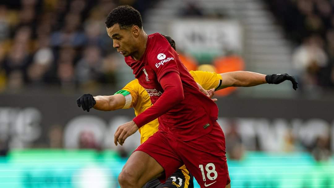 Cody Gakpo tampil saat Liverpool babak belur dihajar Wolves 3-0