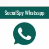 Social Spy WhatsApp