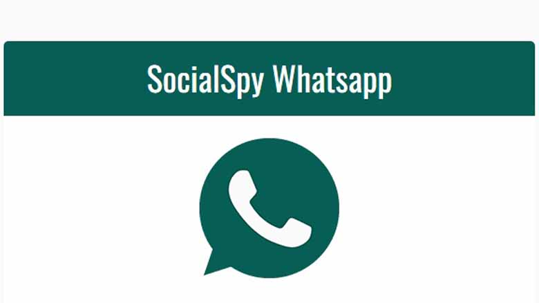 Social Spy WhatsApp