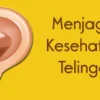 Telinga berdengung