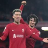 Firmino guru sempurna bagi Cody Gakpo